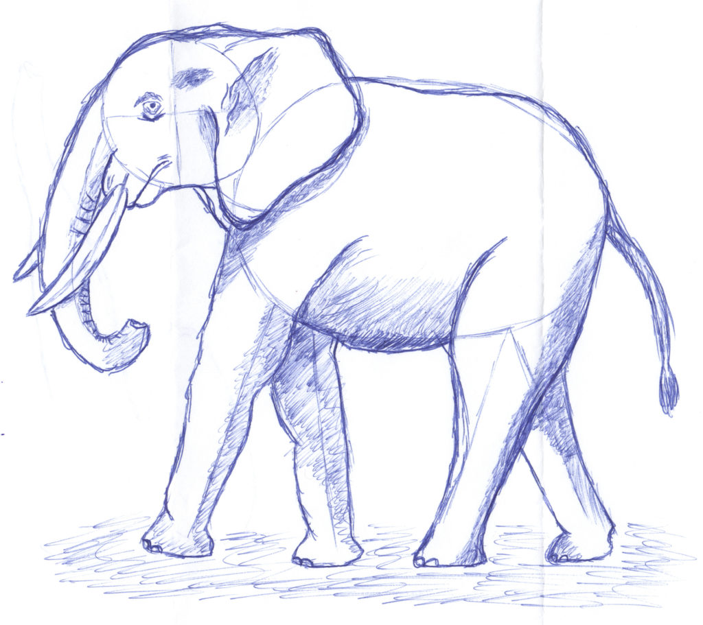 scanned image of an elephant drawn by Magic Hat Brewing Company